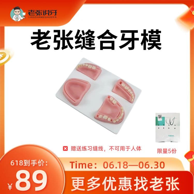 老张&缝合牙模（赠送练习用缝线）
